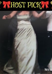 🏆🎀HOST PICK🎀🏆 Stapless Prom Dress Gown